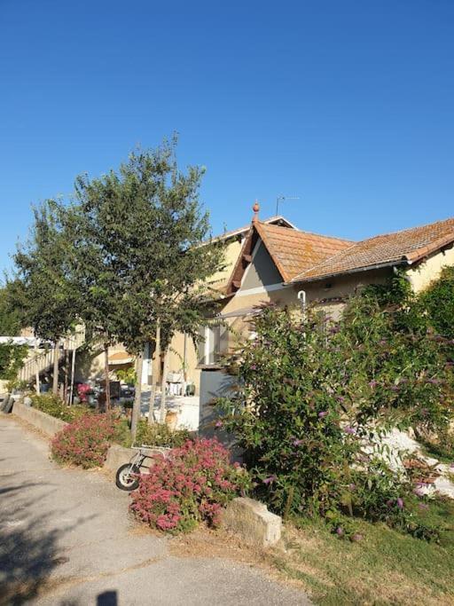 St Remy De Provence, La Maison Du Berger Saint-Andiol Εξωτερικό φωτογραφία