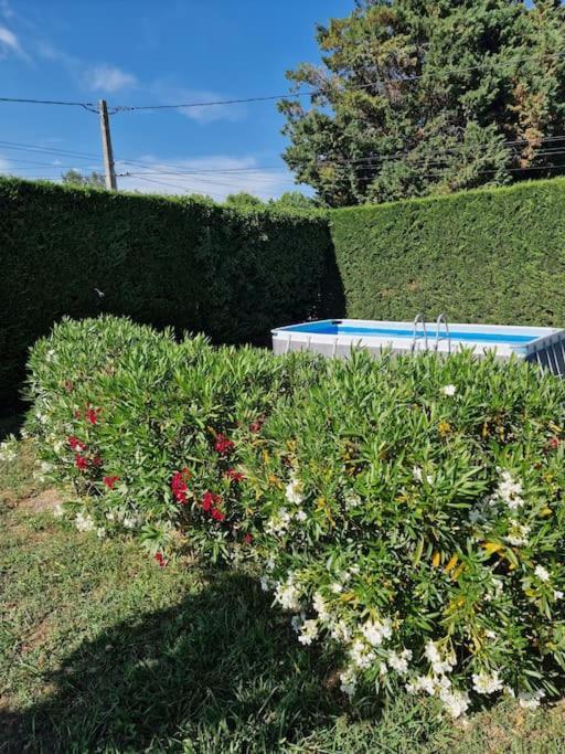 St Remy De Provence, La Maison Du Berger Saint-Andiol Εξωτερικό φωτογραφία