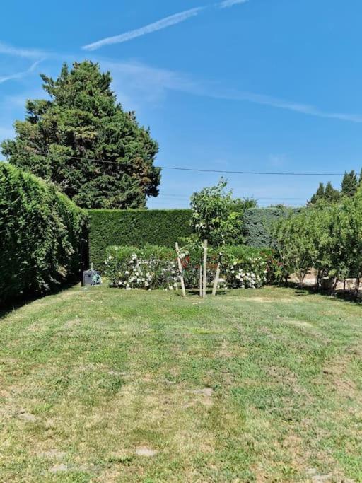St Remy De Provence, La Maison Du Berger Saint-Andiol Εξωτερικό φωτογραφία