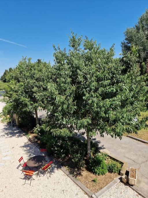 St Remy De Provence, La Maison Du Berger Saint-Andiol Εξωτερικό φωτογραφία